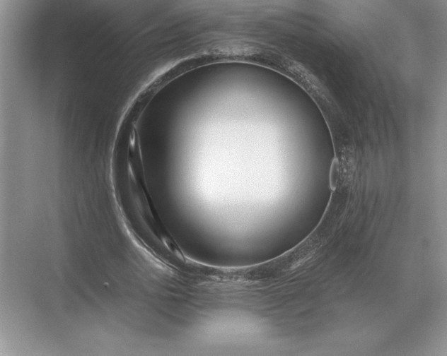 X0000071380726200607071841