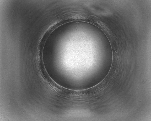 X0000071380727200607071841