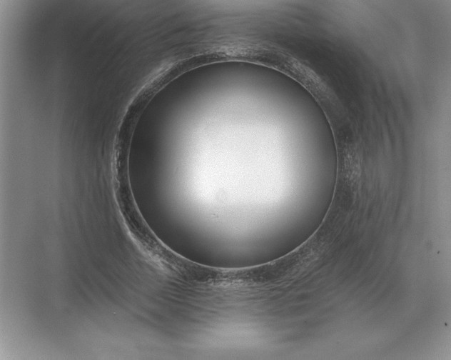 X0000071380730200607071841