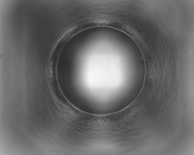 X0000071380731200607071841