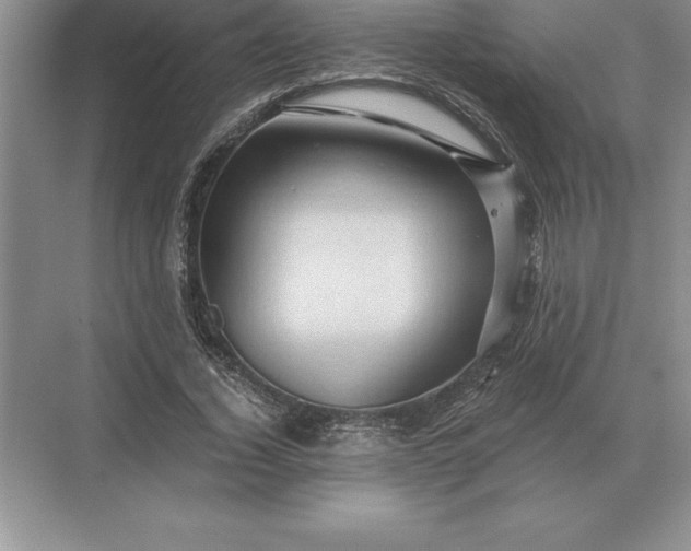 X0000071380732200607071841