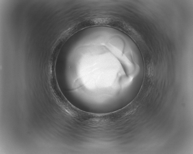 X0000071380733200607071841