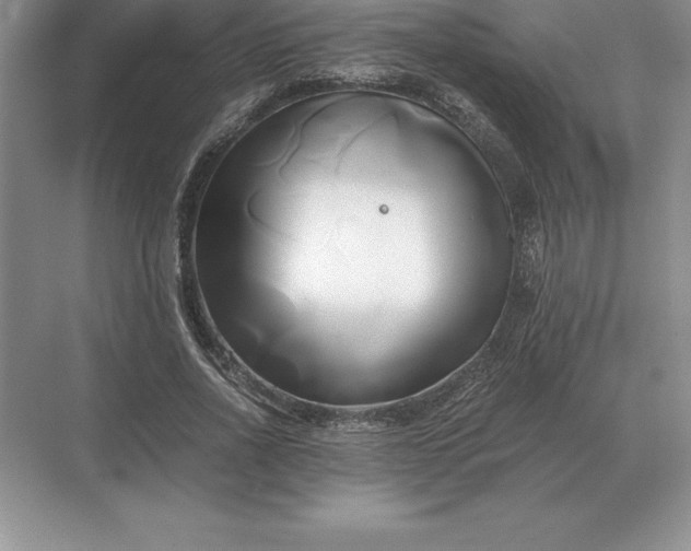 X0000071380734200607071841