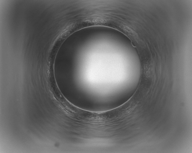 X0000071380735200607071841