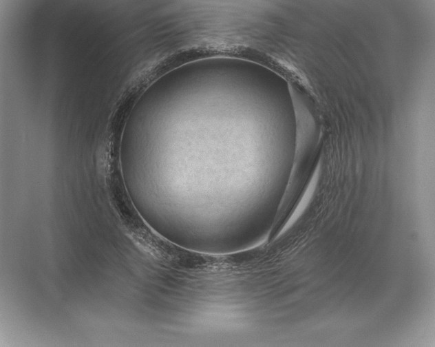 X0000071380736200607071841