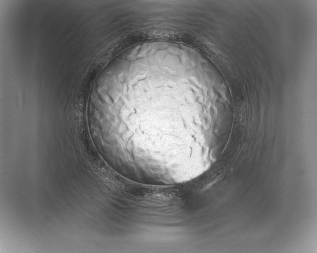 X0000071380737200607071841