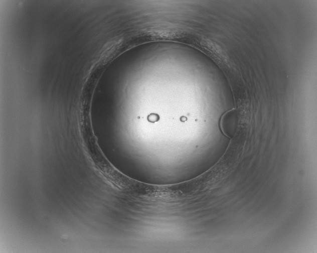 X0000071380738200607071841