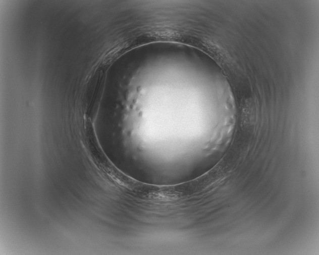 X0000071380739200607071841