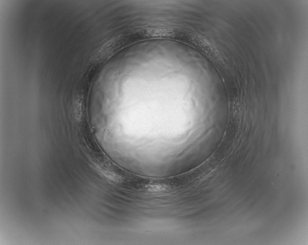 X0000071380741200607071841