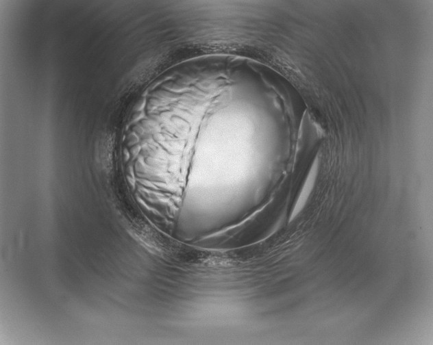 X0000071380742200607071841