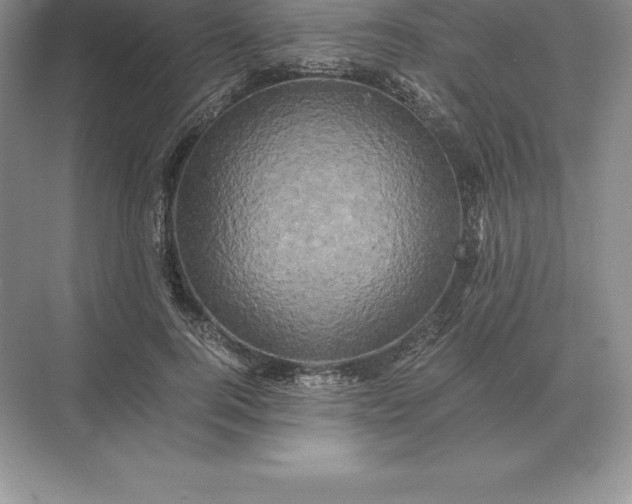 X0000071380744200607071841