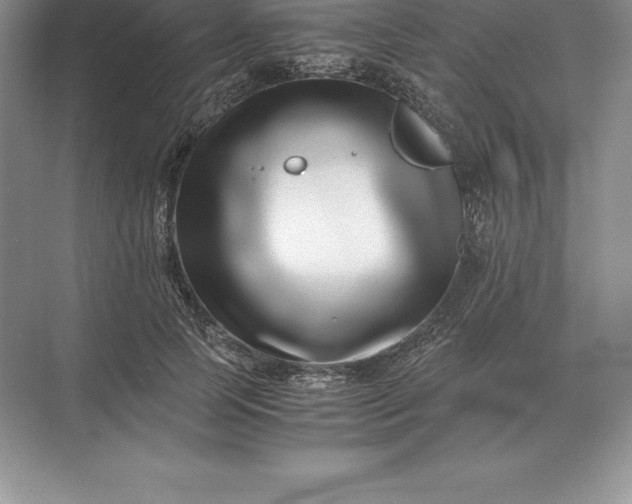 X0000071380745200607071841