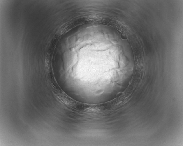 X0000071380749200607071841