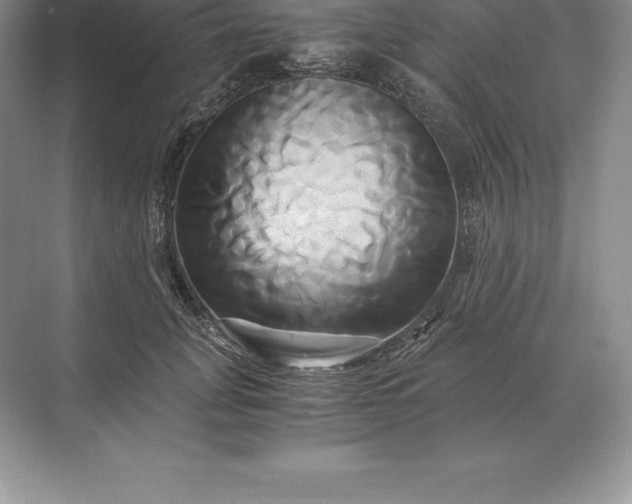 X0000071380751200607071841