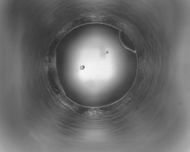 X0000071380752200607071841