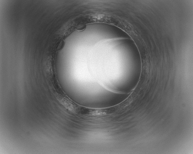 X0000071380754200607071841