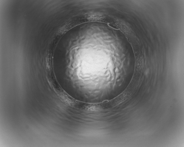 X0000071380755200607071841