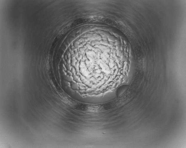 X0000071380757200607071841