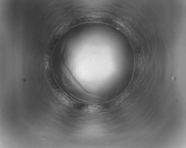 X0000071380758200607071841