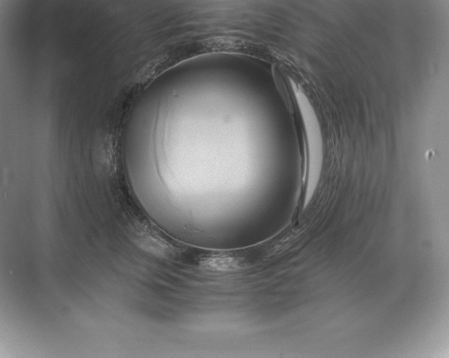 X0000071380759200607071841