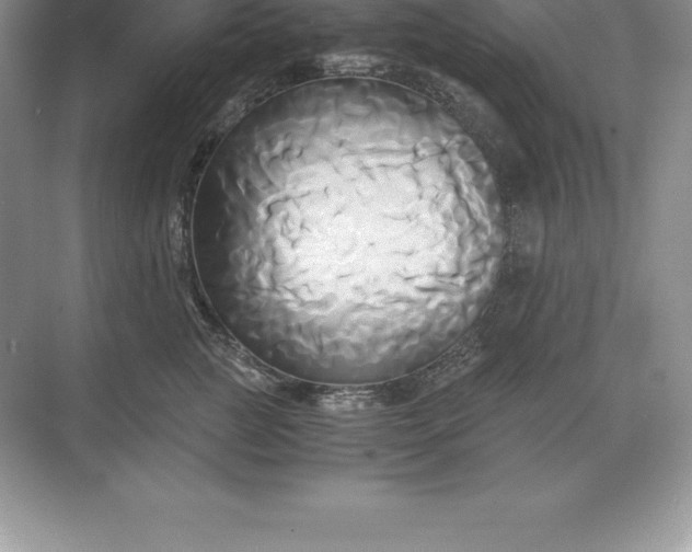 X0000071380761200607071841