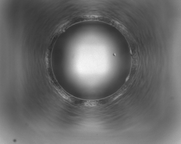 X0000071380762200607071841