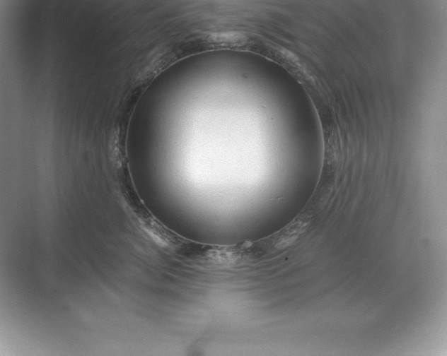 X0000071380764200607071841