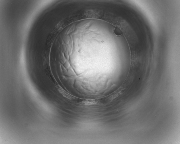 X0000071380765200607071841