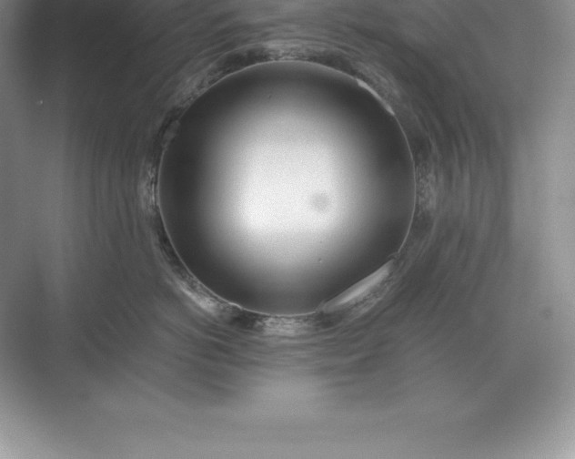 X0000071380766200607071841