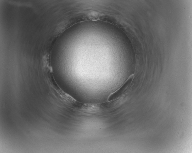 X0000071380768200607071841