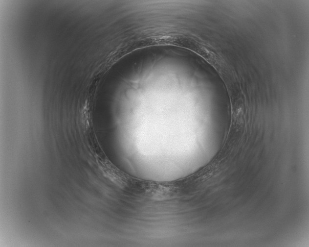 X0000071380772200607071841