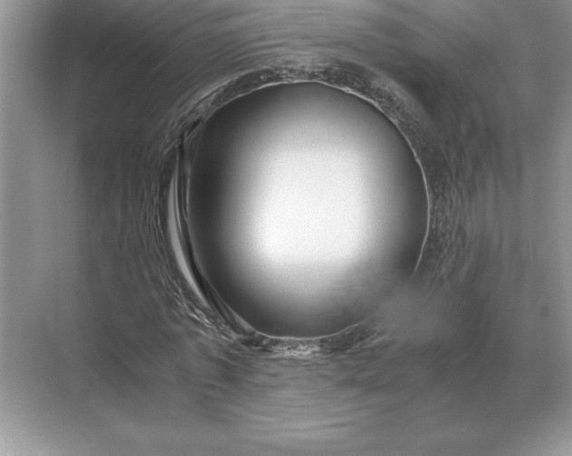 X0000071380773200607071840