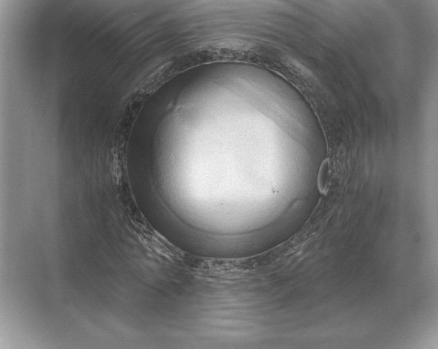 X0000071380774200607071840