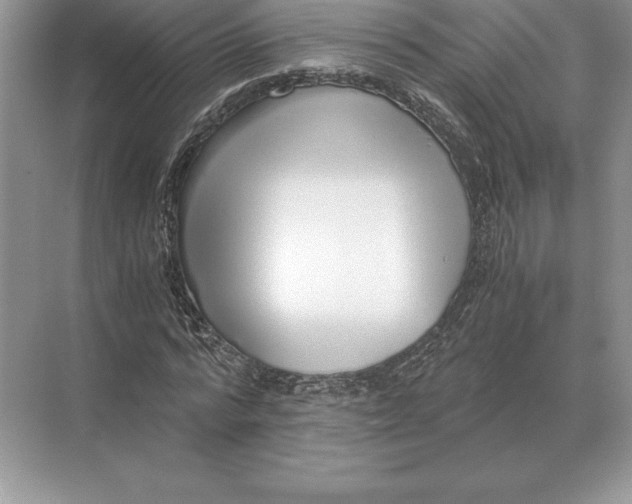 X0000071380776200607071840