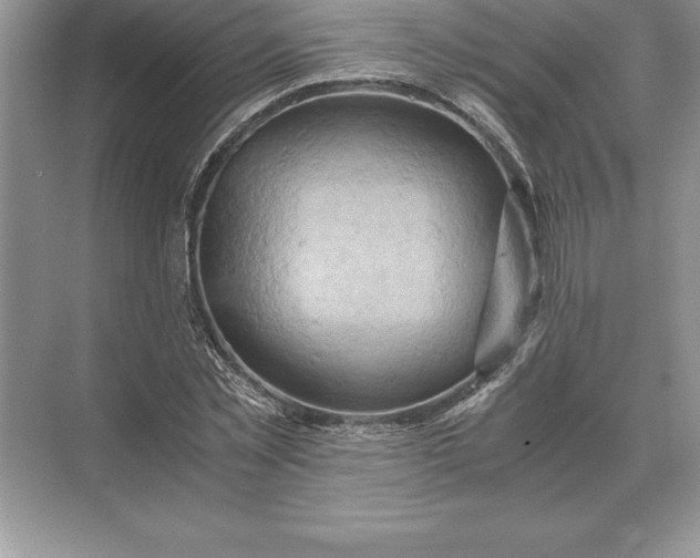 X0000071380781200607071840