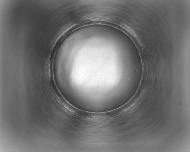 X0000071380782200607071840