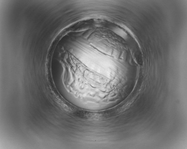 X0000071380783200607071840