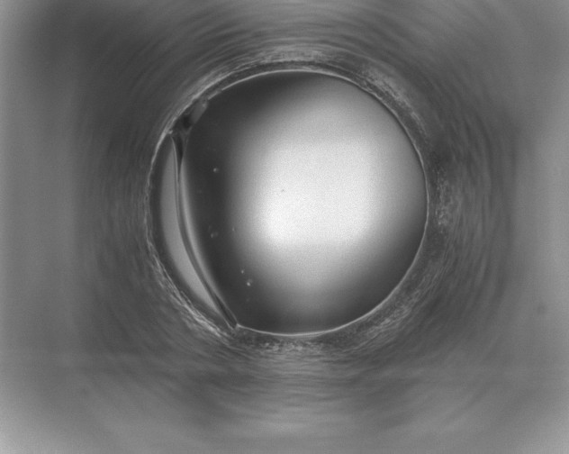 X0000071380786200607071840