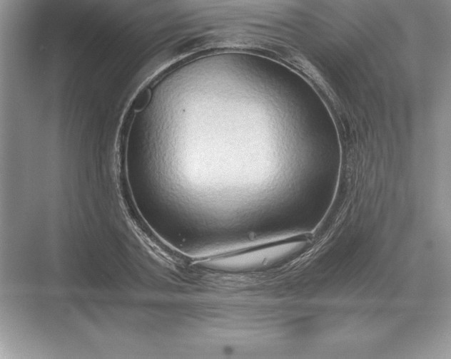 X0000071380787200607071840