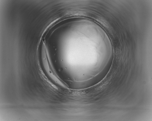 X0000071380790200607071840