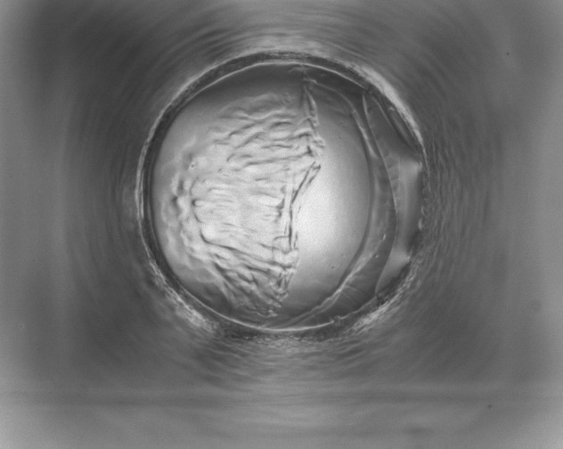 X0000071380791200607071840