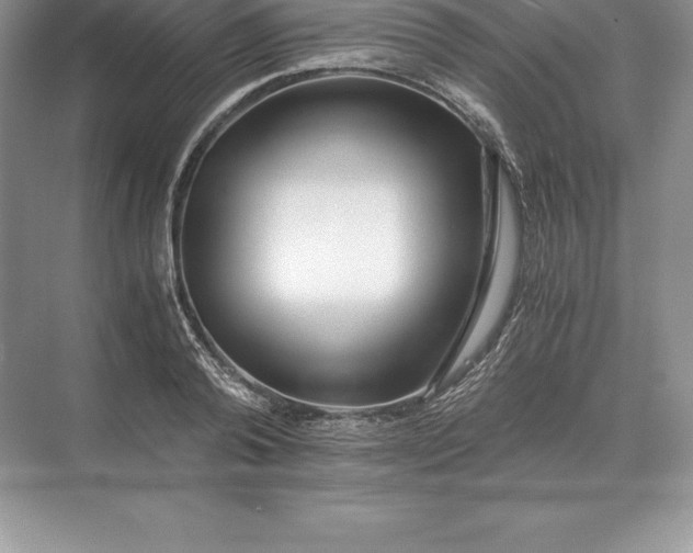 X0000071380792200607071840