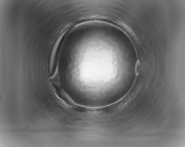 X0000071380793200607071840