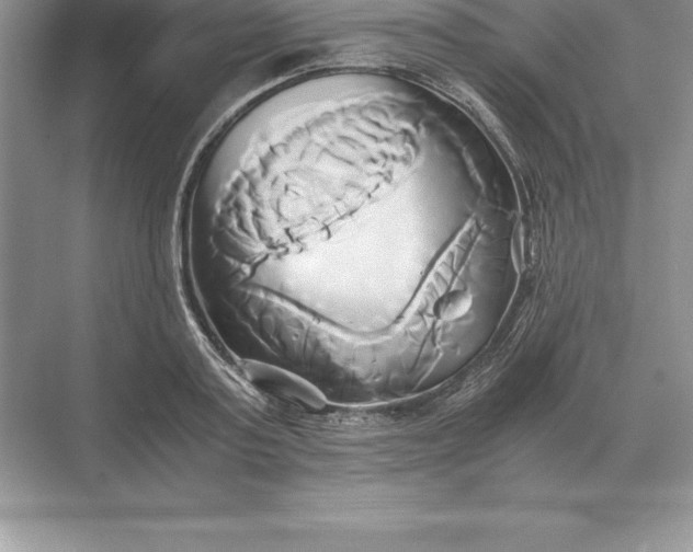 X0000071380795200607071840