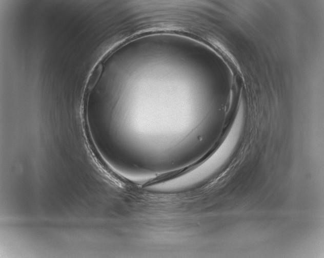 X0000071380797200607071840