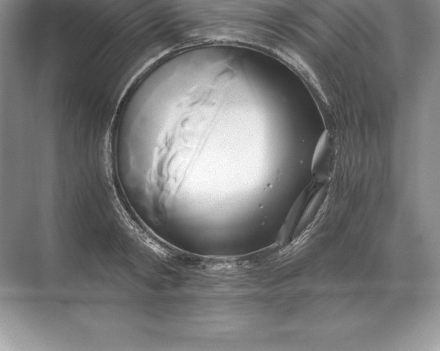 X0000071380798200607071840