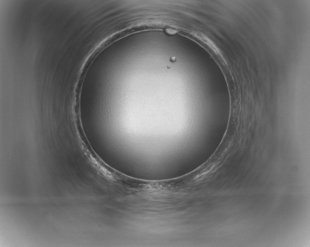 X0000071380799200607071840