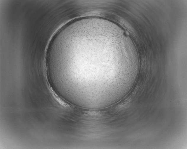 X0000071380800200607071840