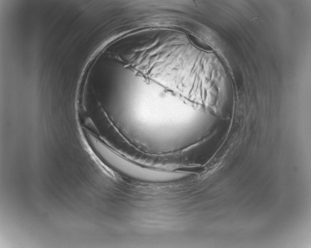 X0000071380803200607071840