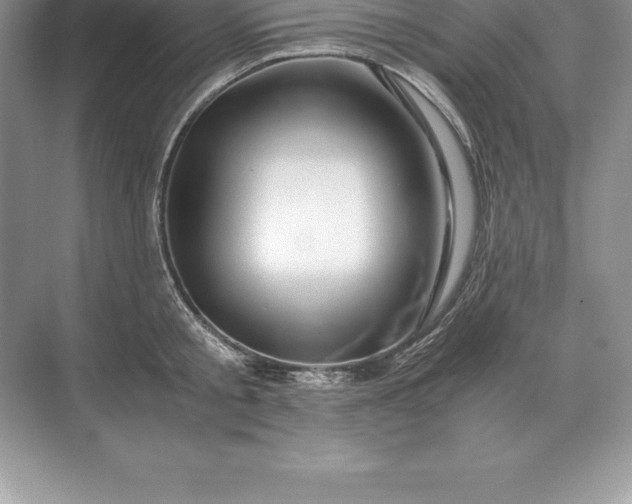 X0000071380805200607071840